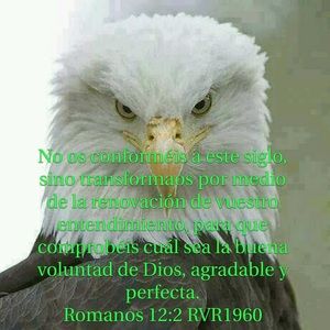 Meet your Posher, Aida